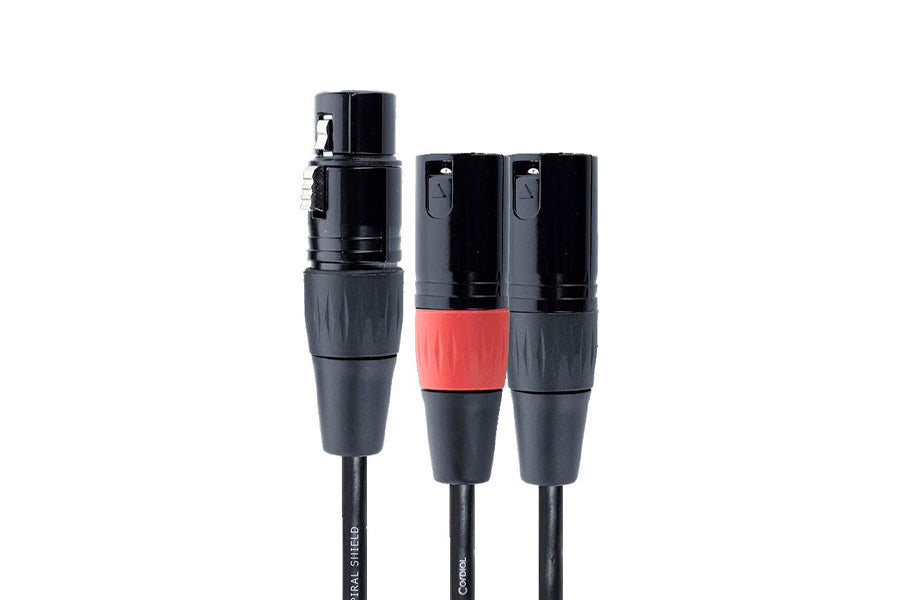 Double XLR mâle