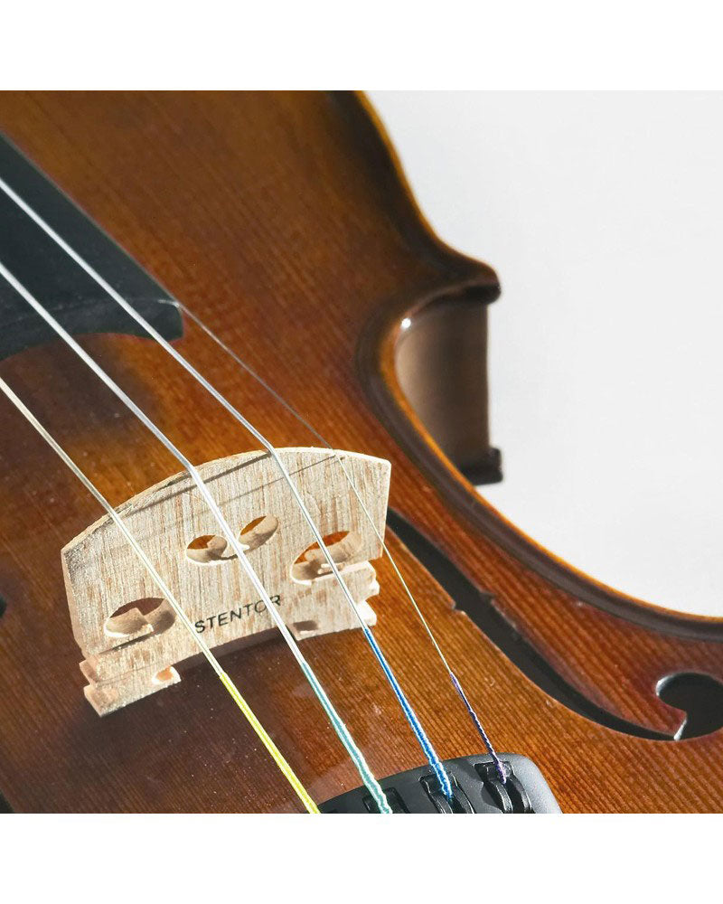 Student II Violon 3/4