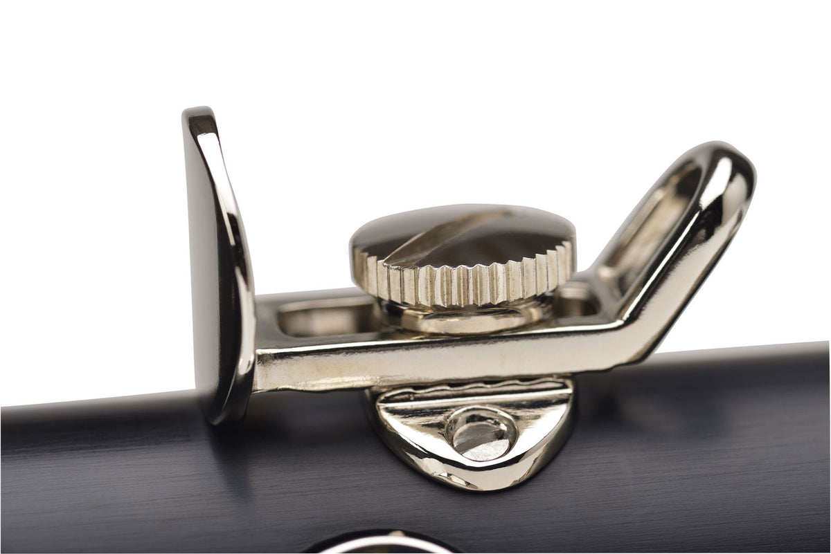 Prodige Bes (17 Verzilverde Kleppen) - BC2541-2-0