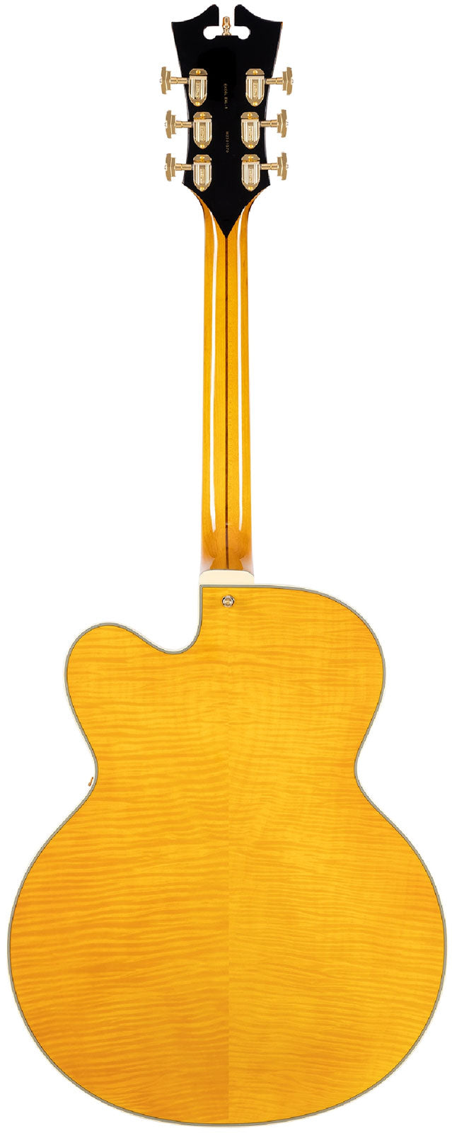 Excel Exl-1 Amber