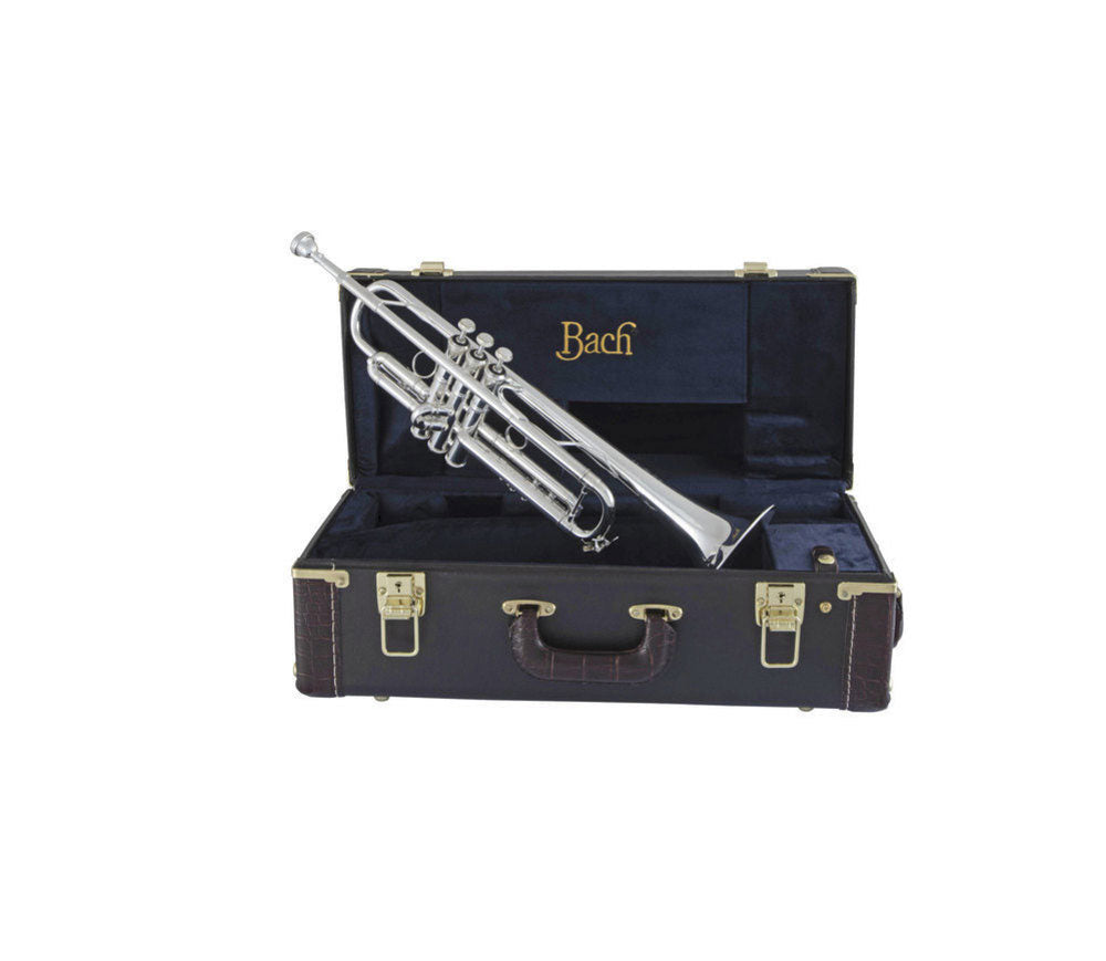 LT180S77 Stradivarius New York #7 - Bes Verzilverde