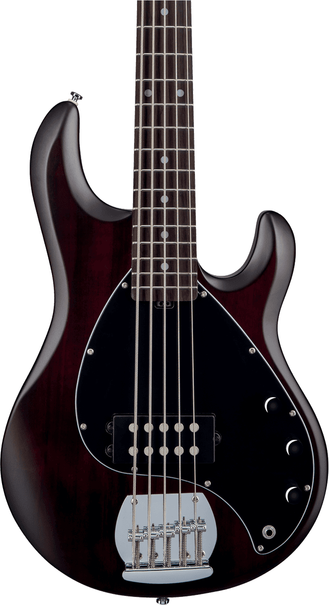 Stingray5 In Walnut Satin 5-String