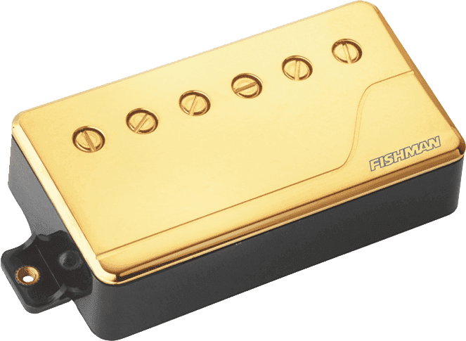 Fluence Humbucker Classic Dore Manche