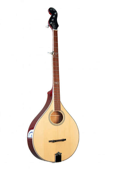 Gold Tone Banjola 5 Type A