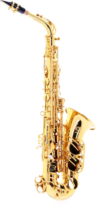 WSA300 - Alto Mib Verni