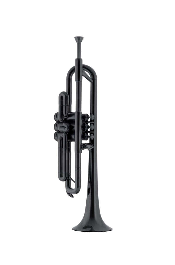 PTRUMPET NOIR