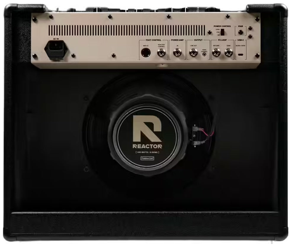 Reactor 100w