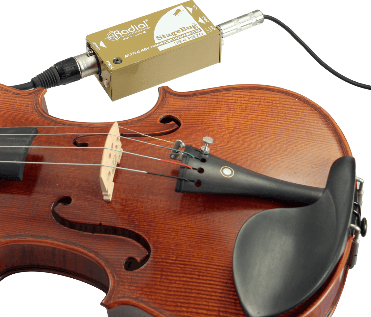 STAGEBUG-4 Piezo