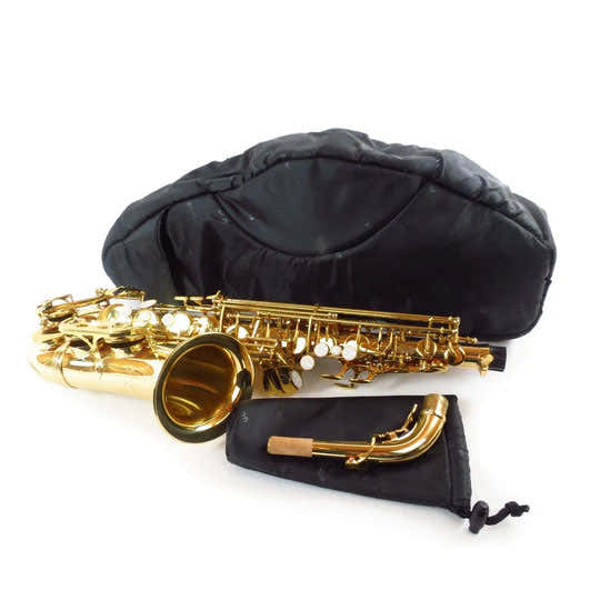 Housse Noire Saxophone Alto