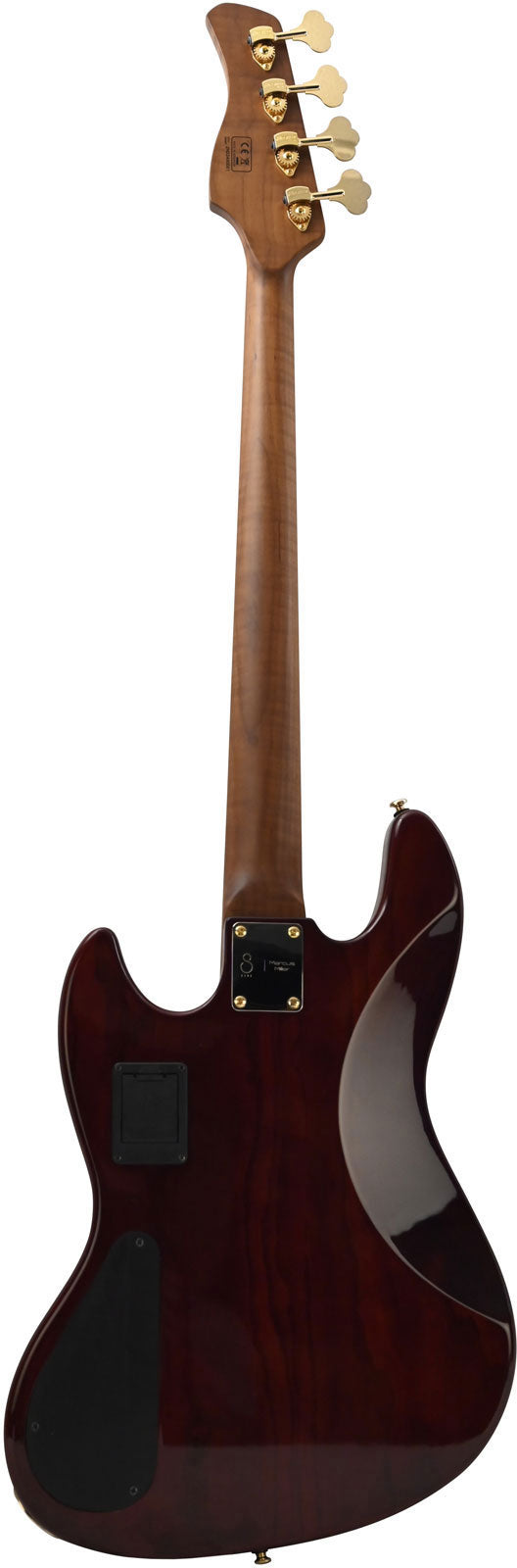 V10 Dx Swamp Ash-4 Fl Ts Mn + Étui