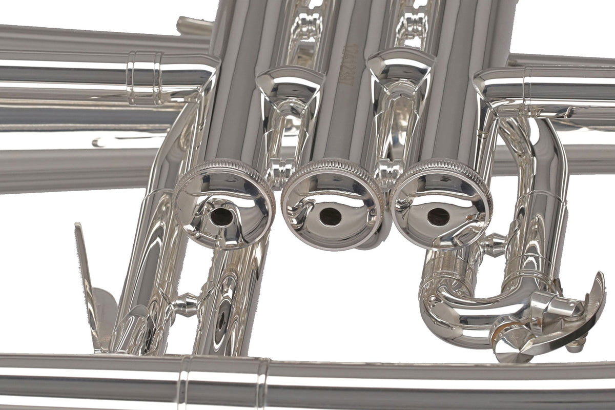 Ambition FH501S Bes Verz ilverd