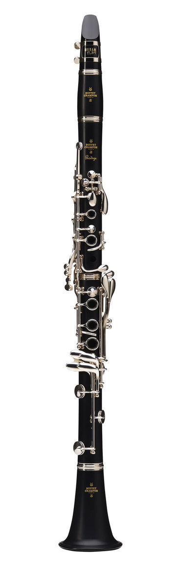 Prodige Bes (17 Verzilverde Kleppen) - BC2541-2-0