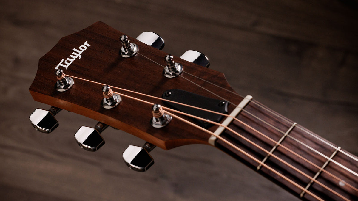 Jacob Collier Signature Model Academy 22e 5-string Natural Grand Concert