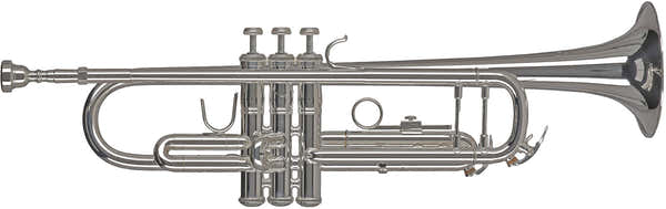 Ambition TR501S Bes Verzilverd