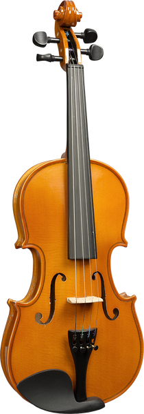 Violon Massif 3/4