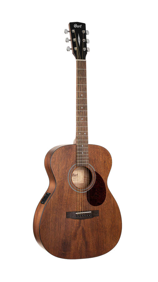 Guitare Luce L60MF Naturel Fishman