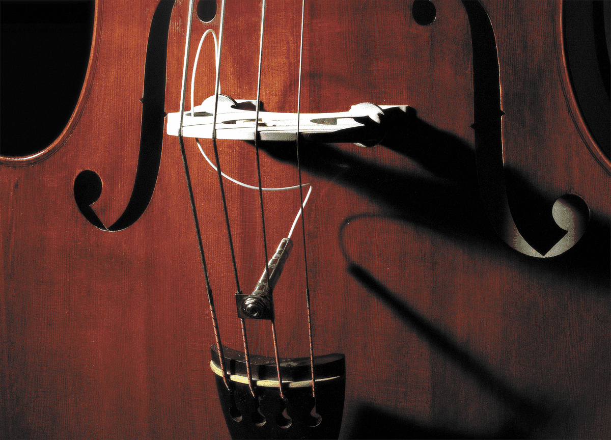 Fishman Full Cirle Format 1/4-20