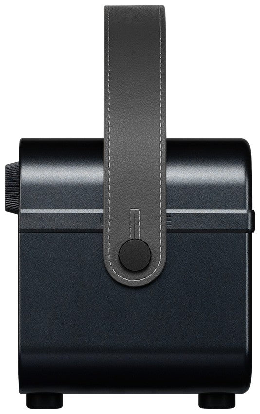 Hotone AP-20BK Pulze Jr. Zwart