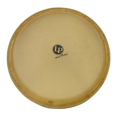 LPA640B - CONGA HEAD ASPIRE CONGA 11"