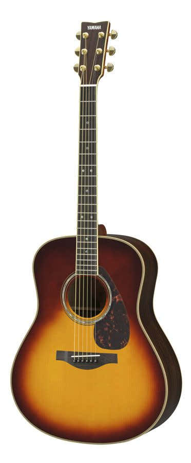 Ll16Bs A.R.E Bruin Sunburst