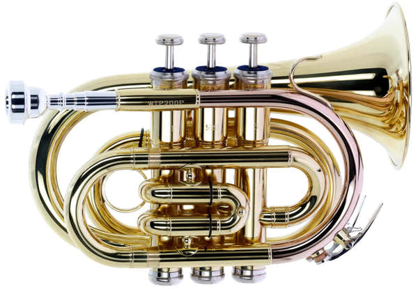 WTP200P - Bb vernist
