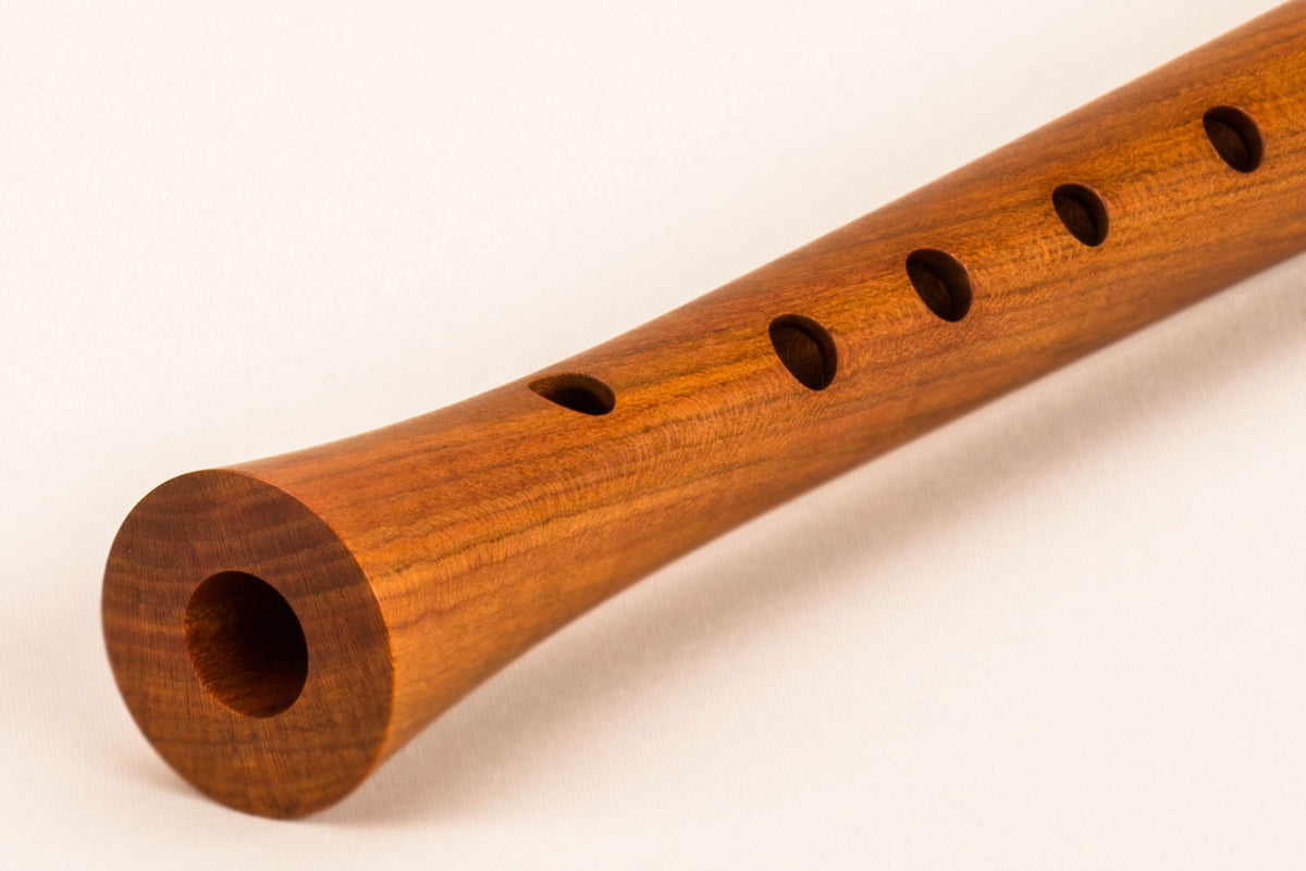 Kynseker Soprano 418 - Prunier (doigté Baroque)