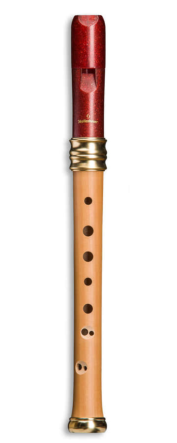 Reve D'adri Soprano 1119R - Poirier et Plastique (doigté Baroque)