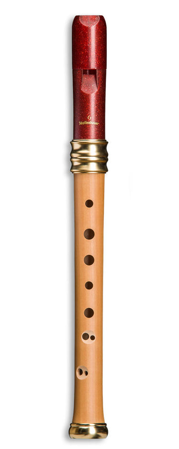 Reve D'adri Soprano 1119R - Poirier et Plastique (doigté Baroque)