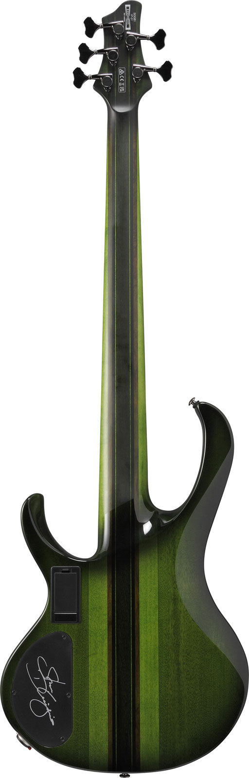 SDGB1-DMT Dark Moss Burst Signature Steve Dirgio