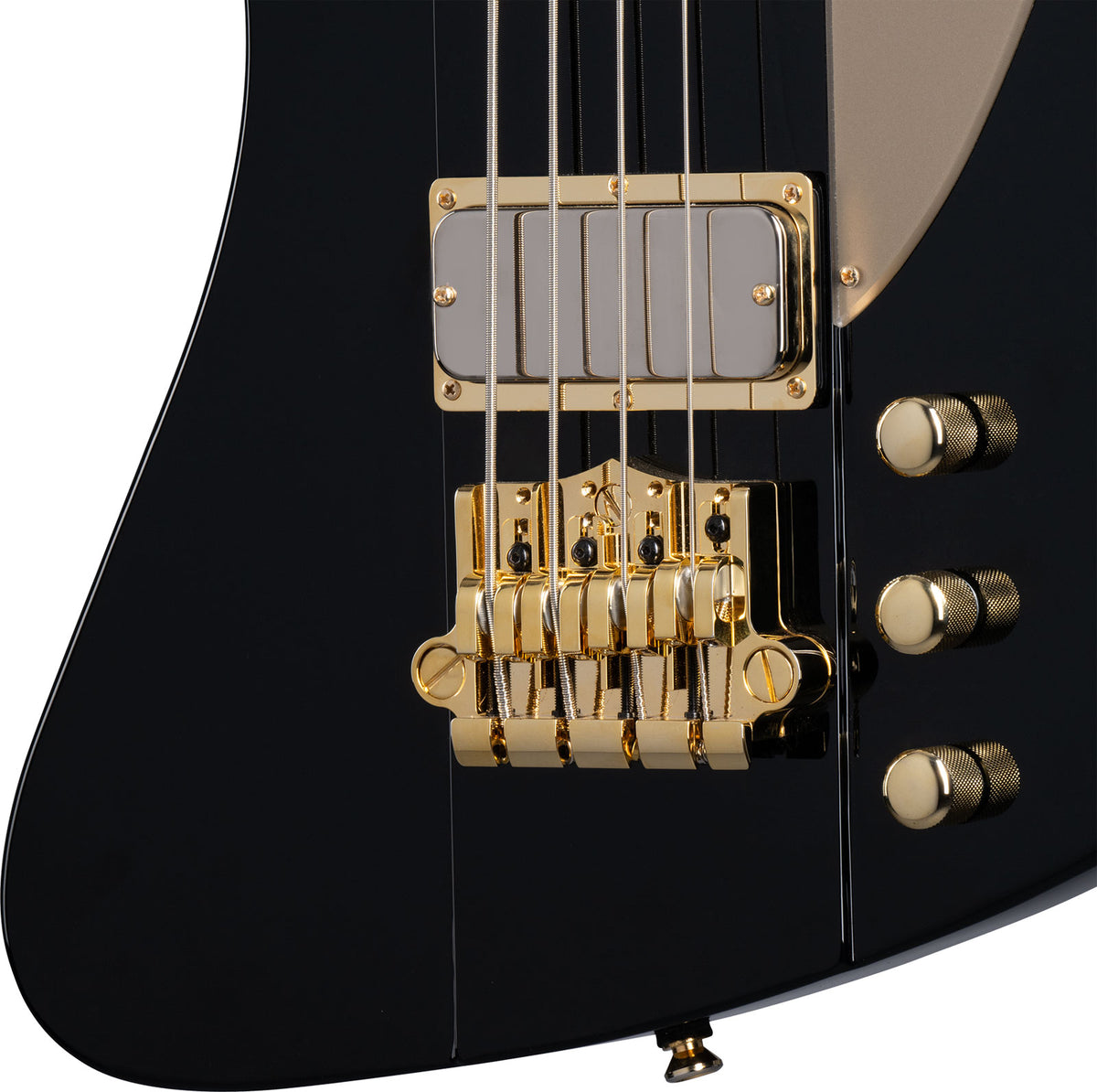 Epiphone Thunderbird Signature Rex Brown Ebony