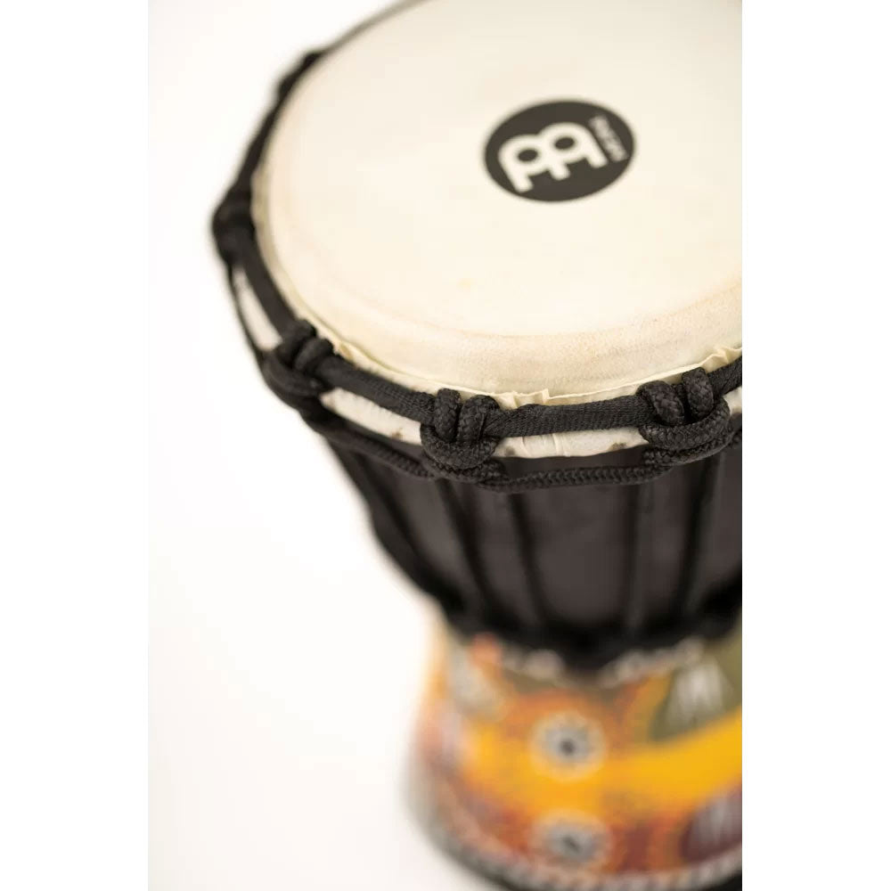 DJEMBE XX SMALL BLACK GECKO