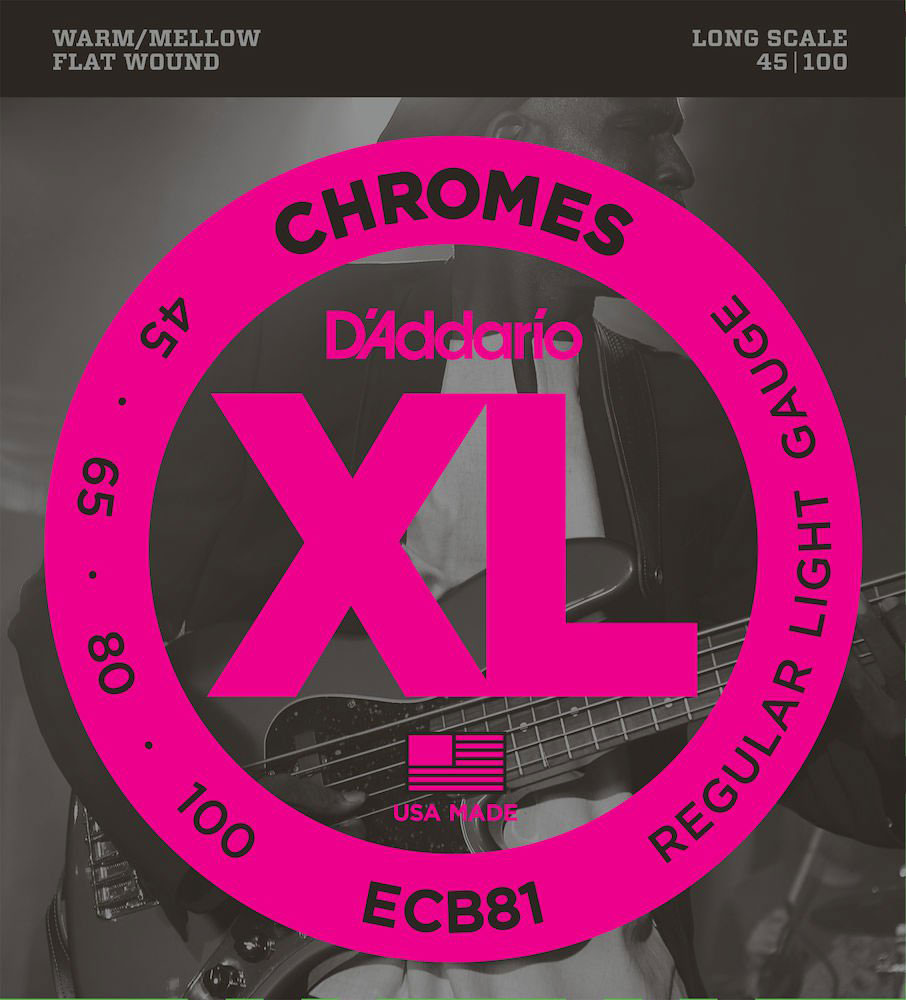 D'ADDARIO ECB81 Chromes Vlak omwonden Lange mensuur Regular Light 45-100