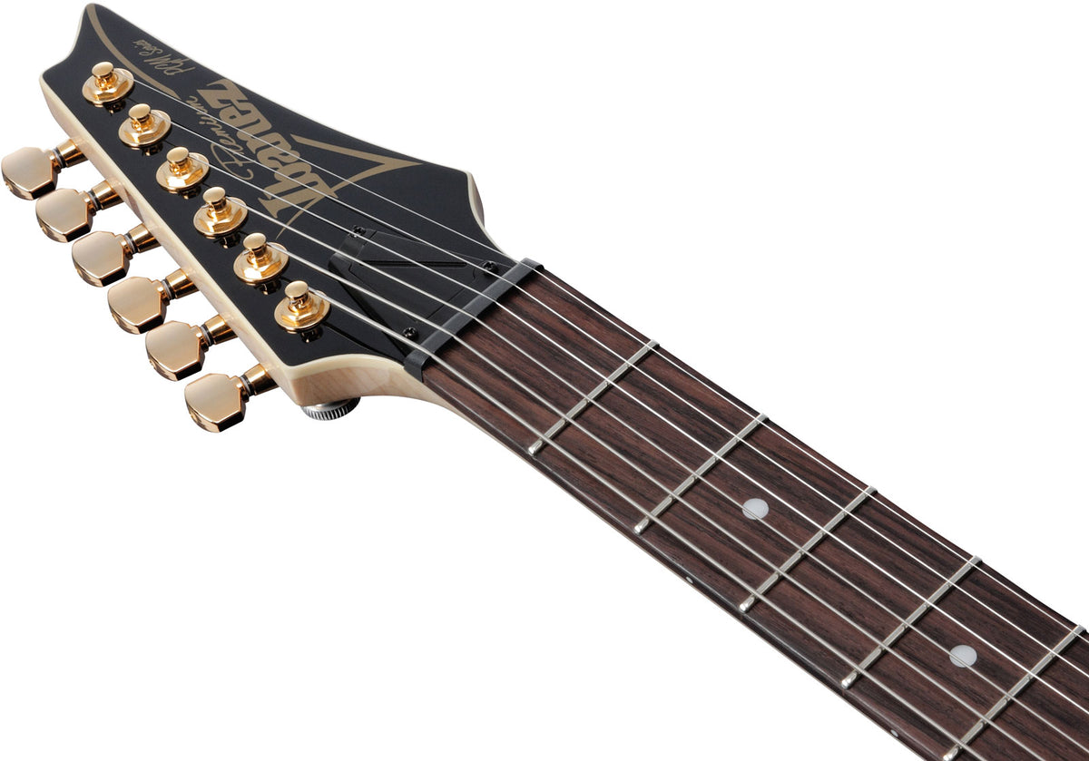 PGM50-BK Zwart Signature Paul Gilbert Premium